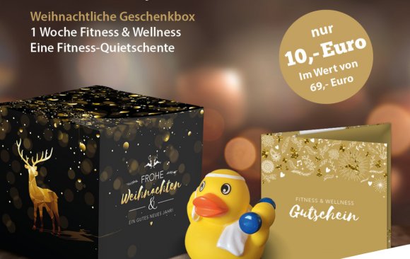Weihnachtsgeschenk-ENTE (Instagram-Post (45)) Perfektes Weihnachtsgeschenk 🎄