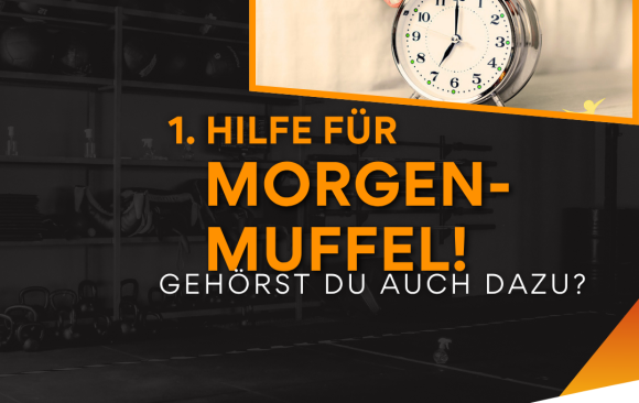 Morgenmuffel 2026 Erste Hilfe für Morgenmuffel! 🆘
